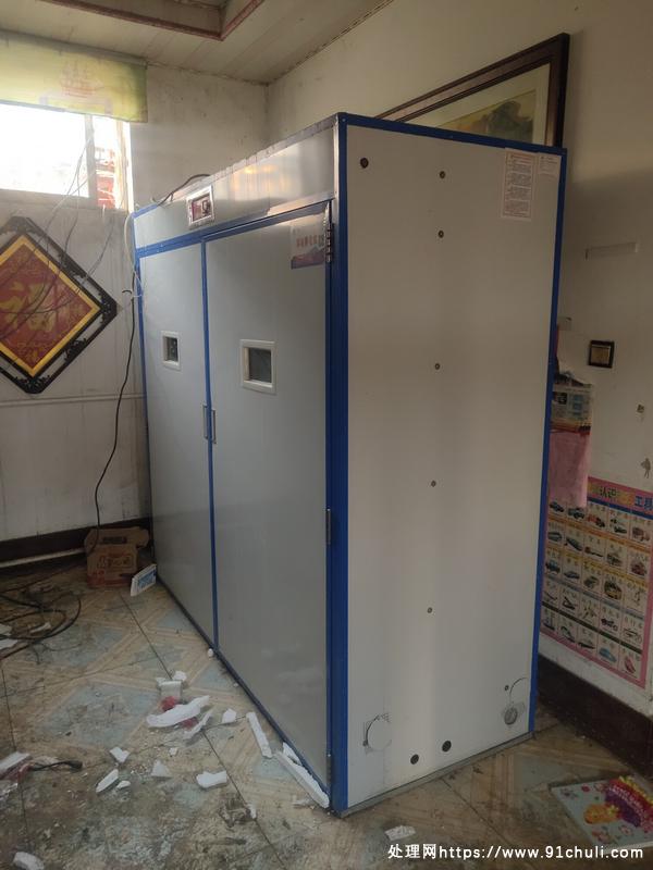 

科裕孵化机两次孵化鸽子蛋，6800枚效果显著