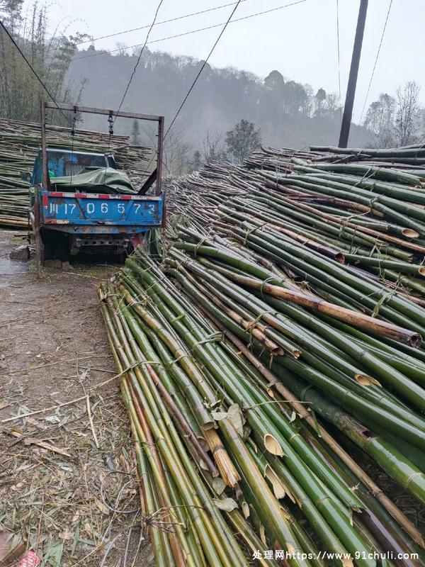 

双循环卷扬机带车教学上下运输打包转让