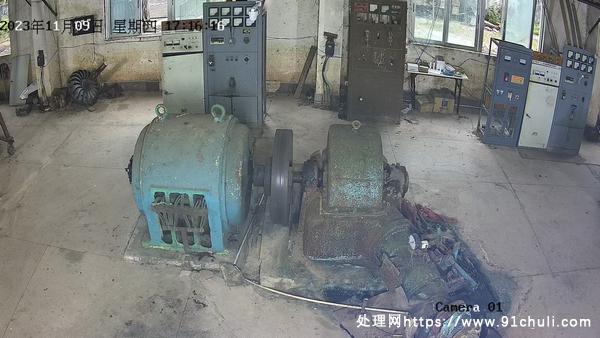 

630-8无刷水轮发电机10年内