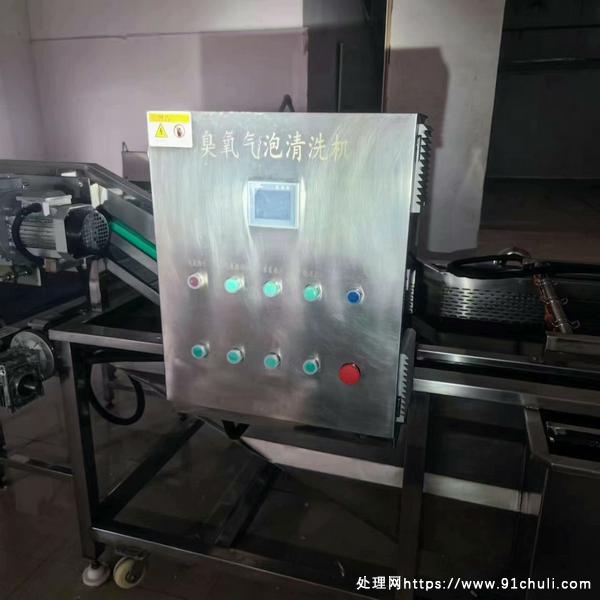 转让个人二手4米臭氧气泡清洗机