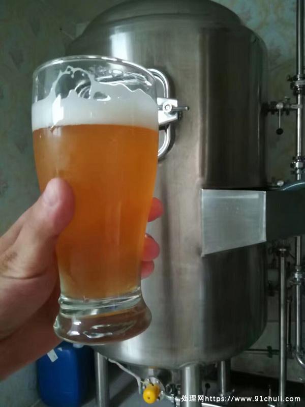 

300兑600自酿啤酒设备一托三操作简单一人操作