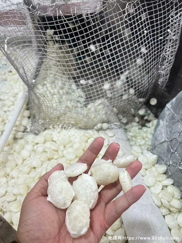 

预糊化淀粉设备，0.5吨产能